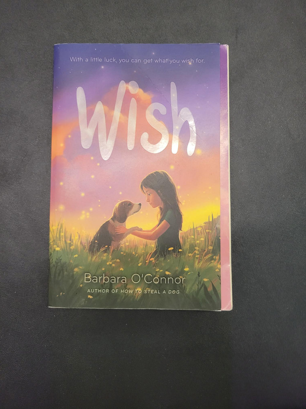 Wish * Barbara O'Connor