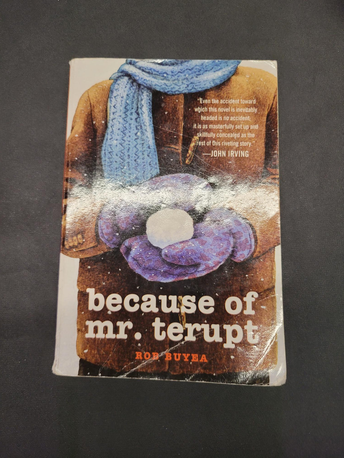 Because of Mr. Terupt * Rob Buyea * Mr. Terupt #1