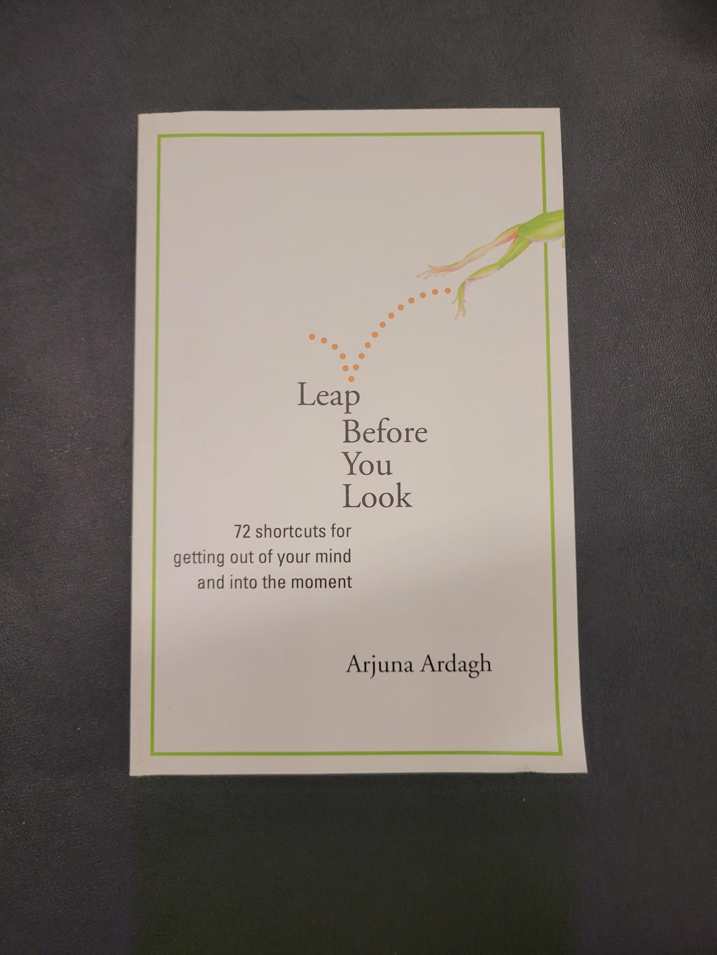 Leap Before You Look * Arjuna Ardagh