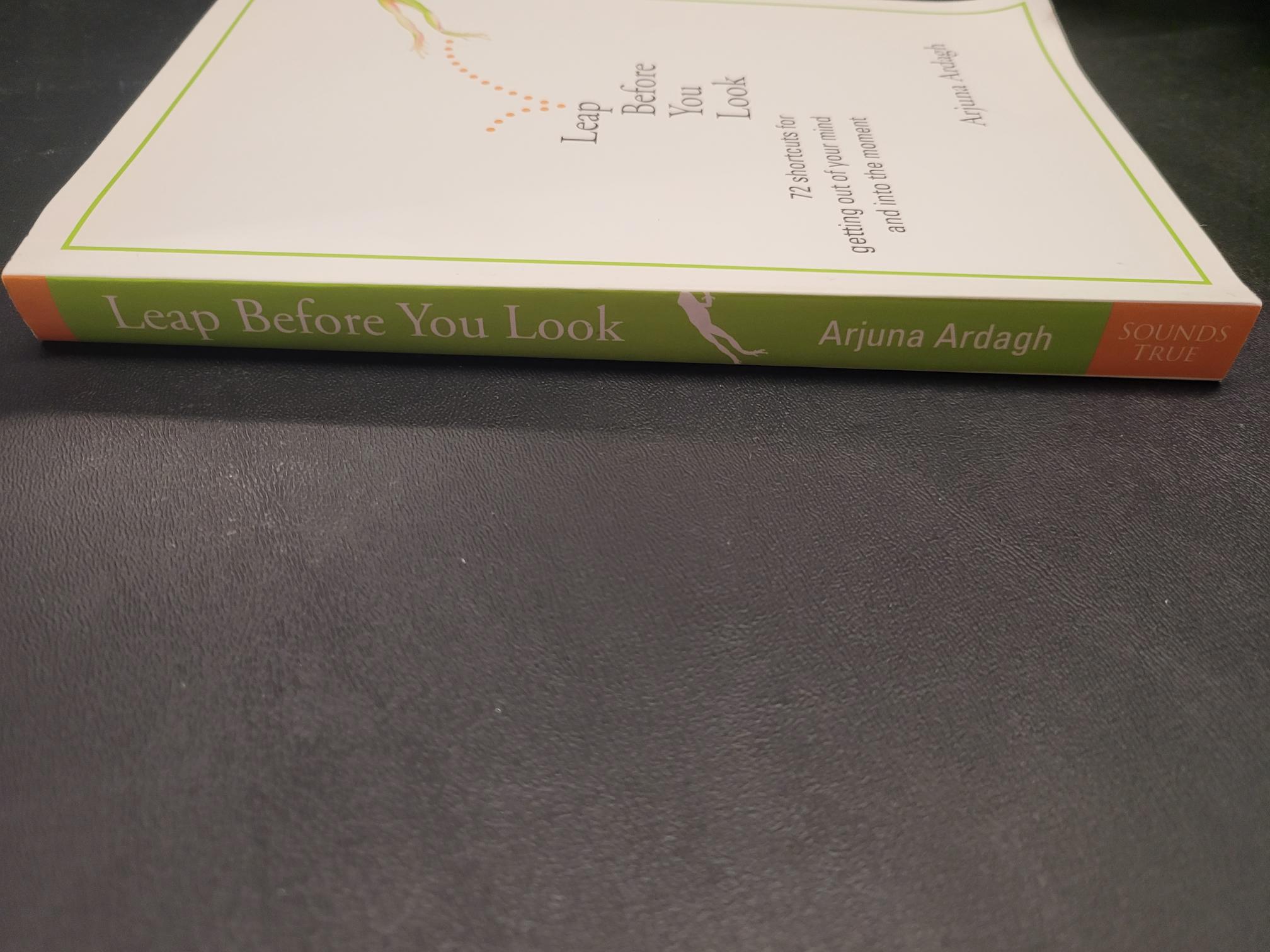 Leap Before You Look * Arjuna Ardagh