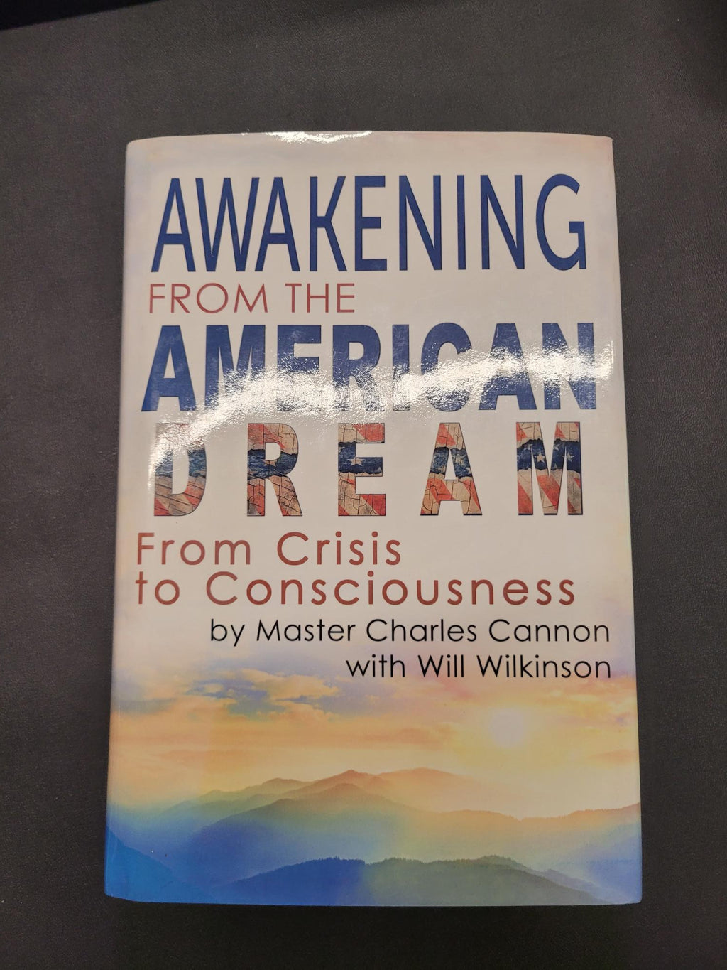 Awakening from the American Dream * Charles Cannon, Will Willkinson