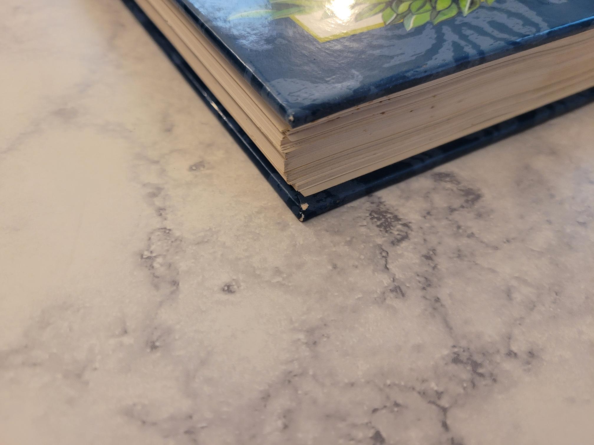 Essential Family Favorites * Parragon Books
