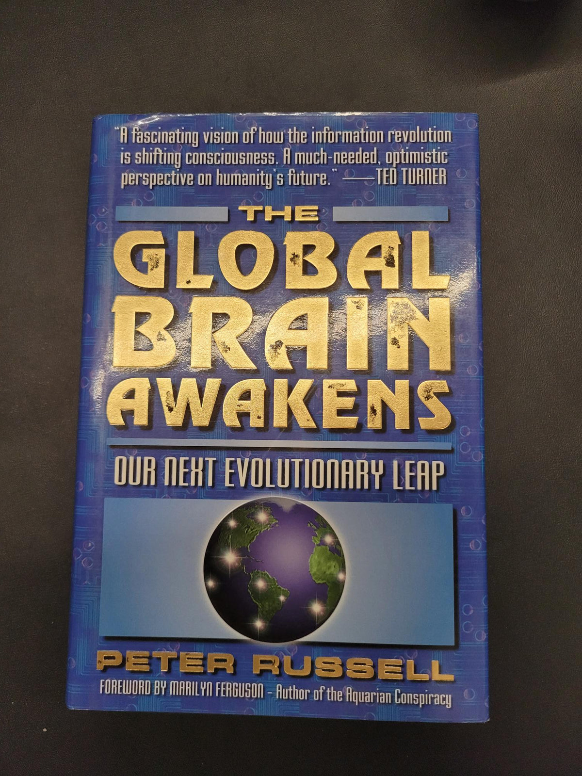 The Global Brain Awakens * Peter Russell