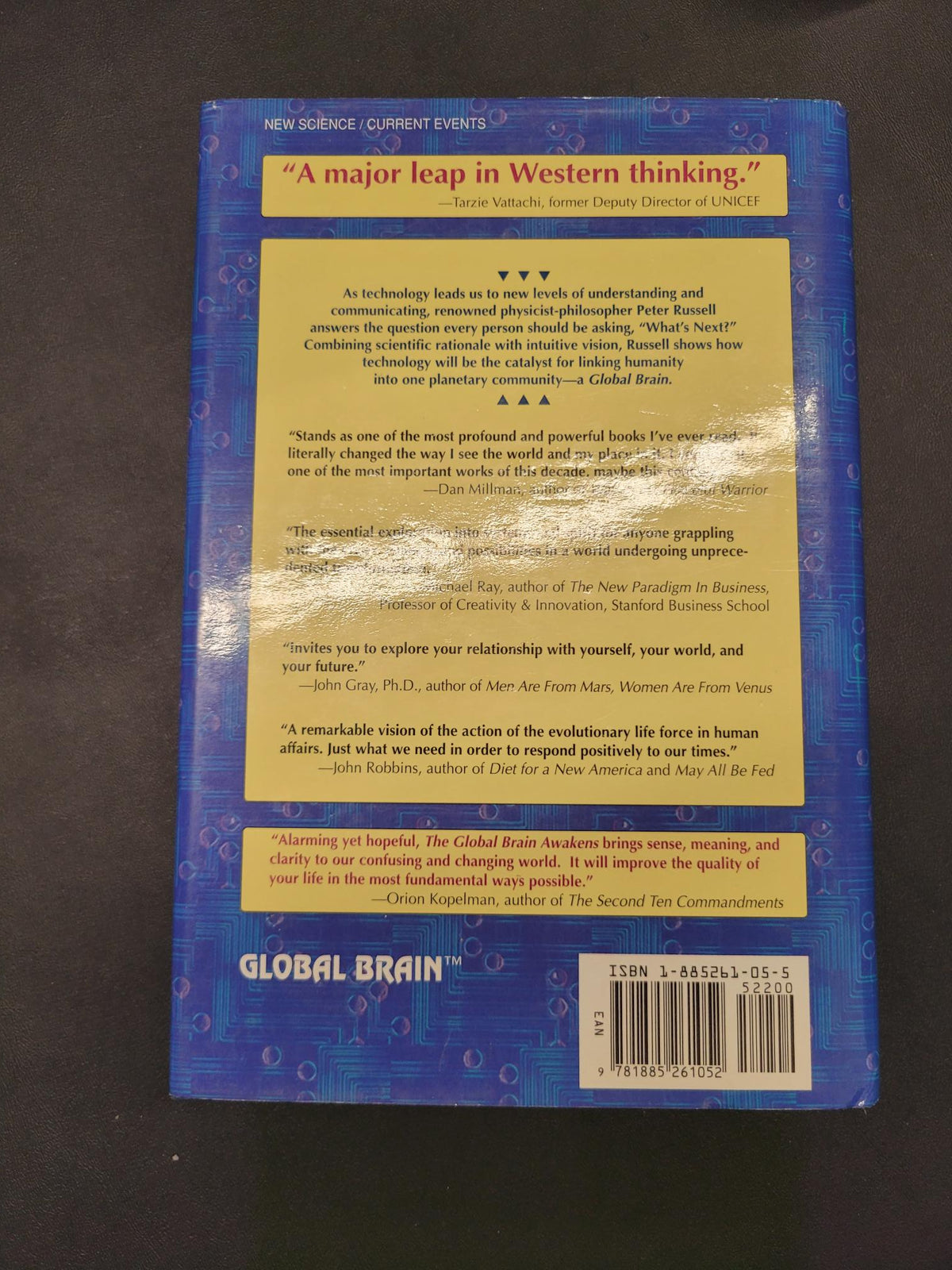 The Global Brain Awakens * Peter Russell