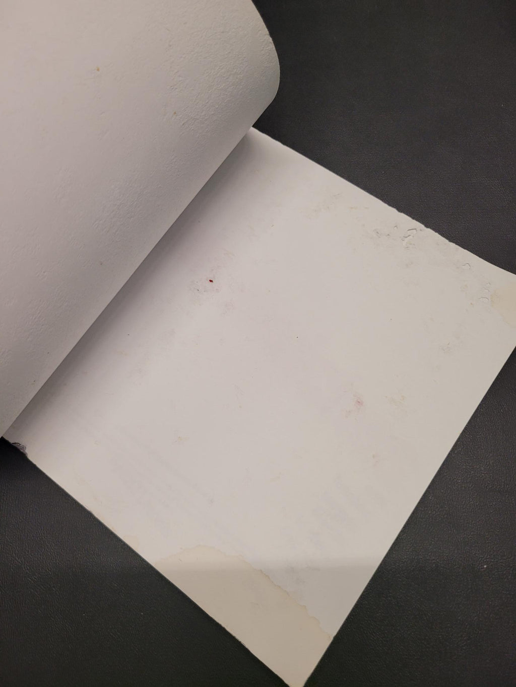 The Mini Book of Grandwiches * Lisa LeConte