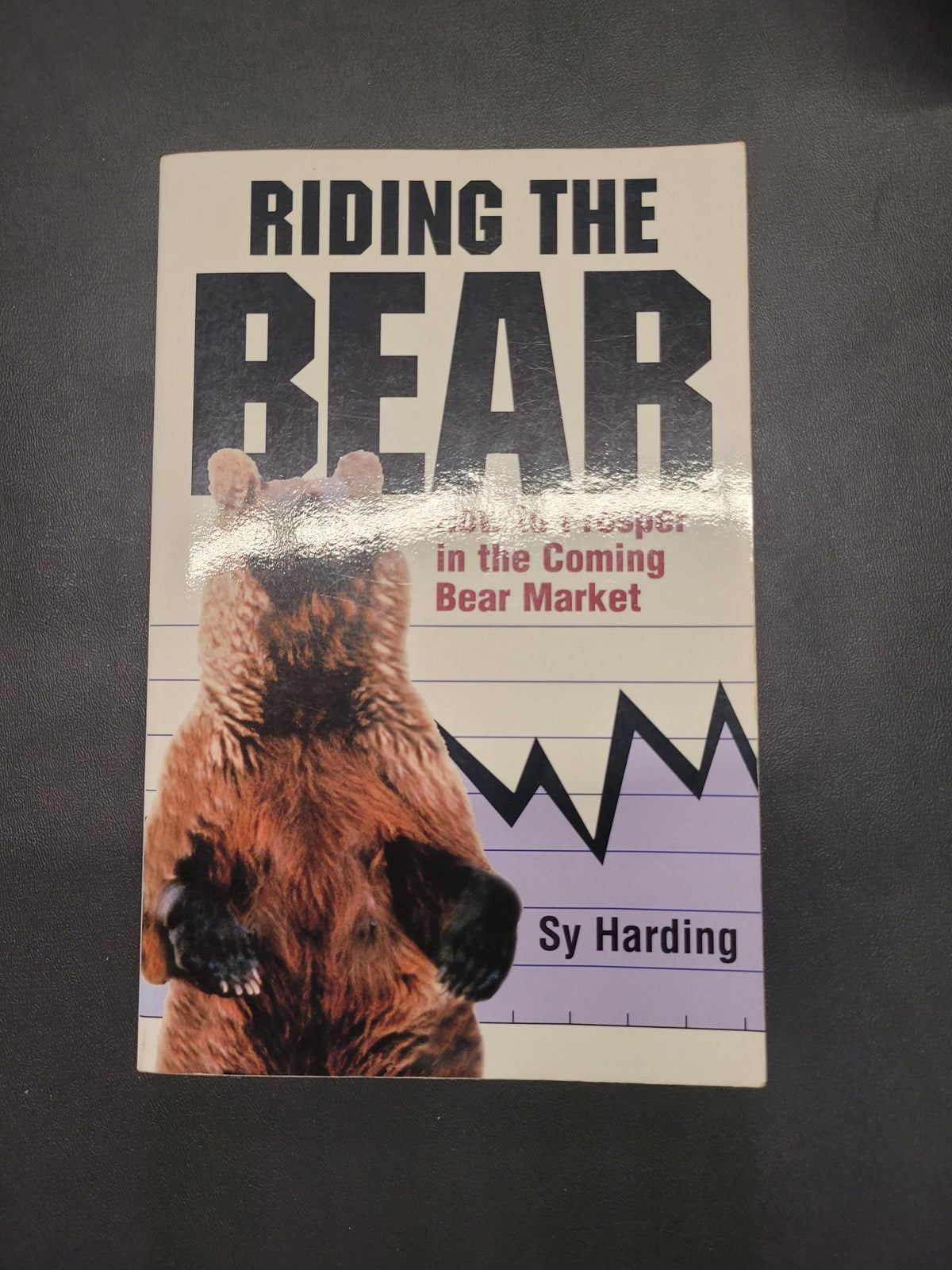 Riding the Bear * Sy Harding