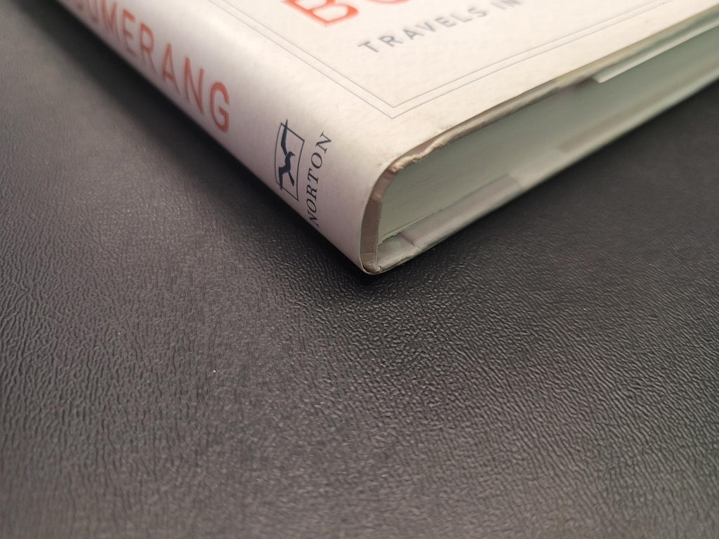 Boomerang * Michael Lewis