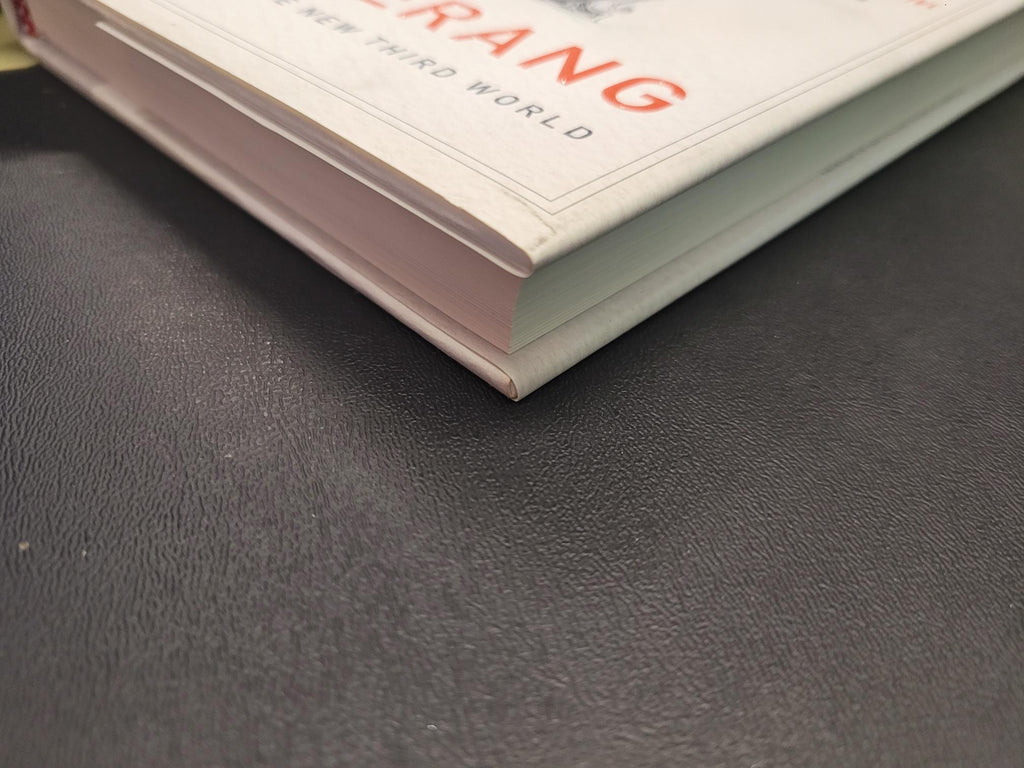 Boomerang * Michael Lewis