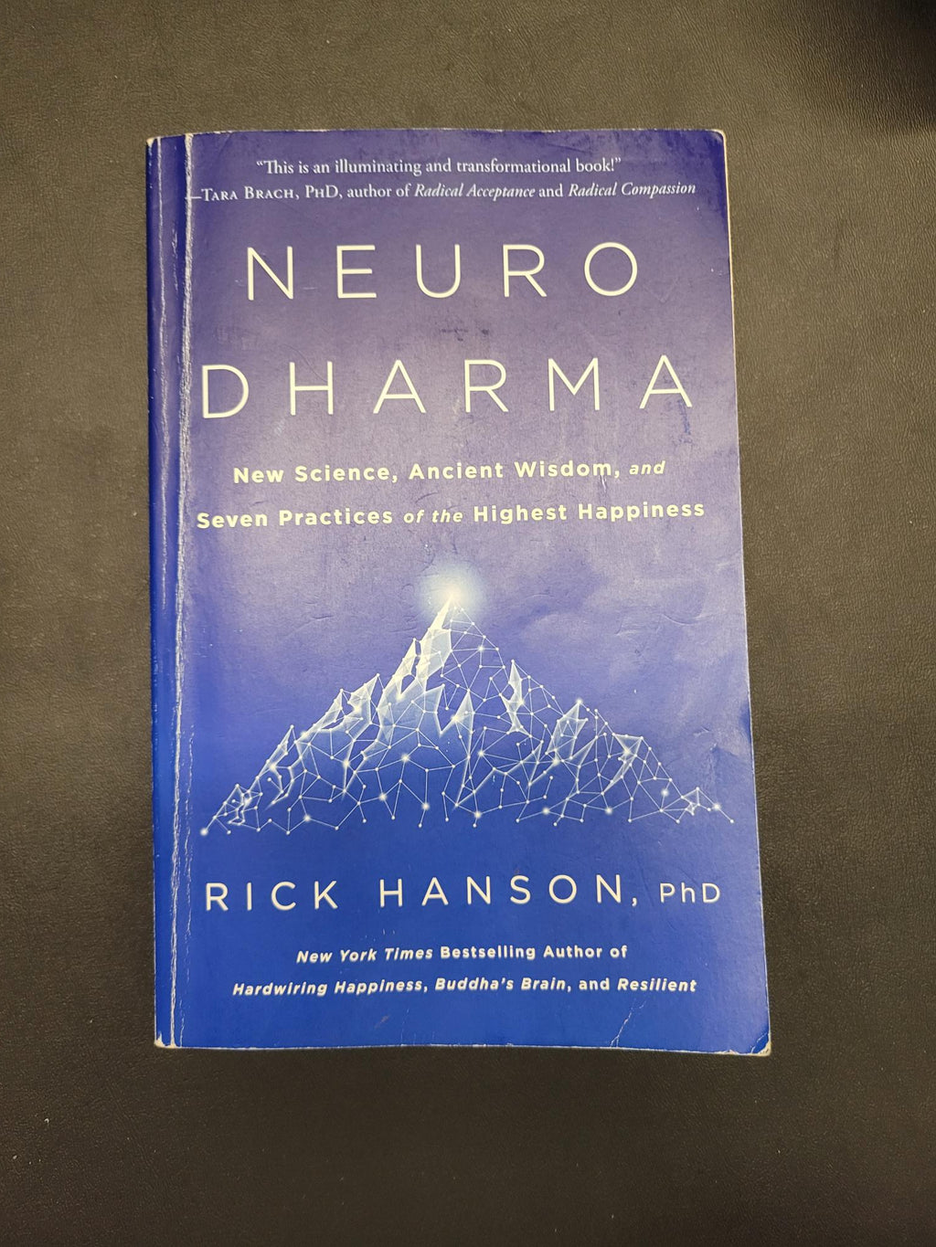 Neurodharma * Rick Hanson