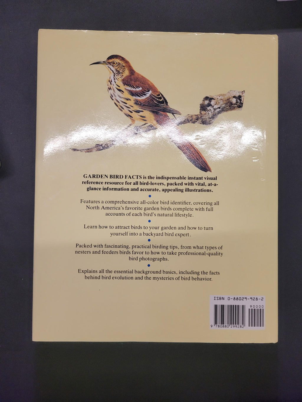 Garden Bird Facts * Marcus Schneck