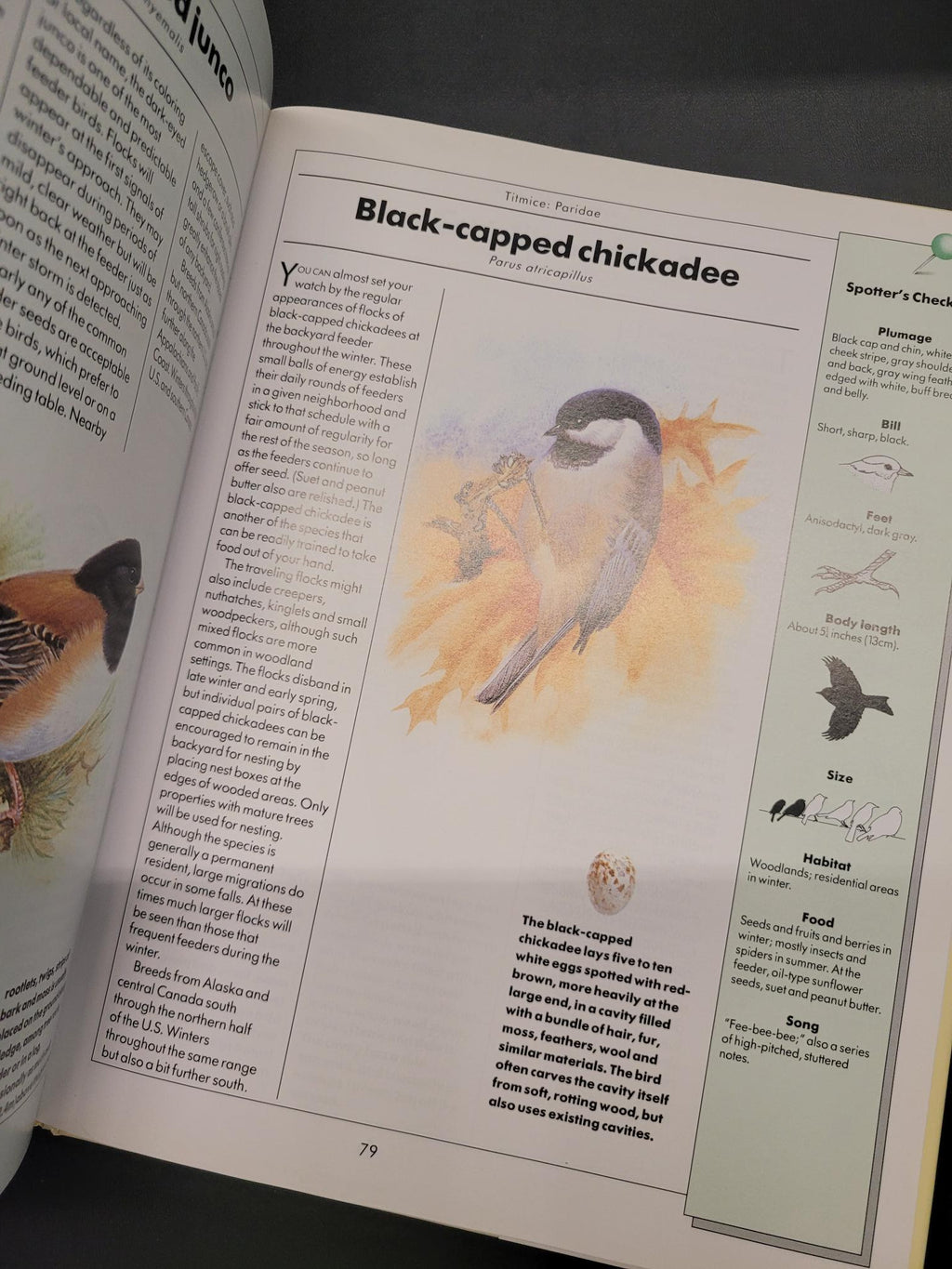 An open book showing a printed page about a black-capped chickadee, with a watercolor-style bird illustration, text, and small bird diagrams along the top margin.