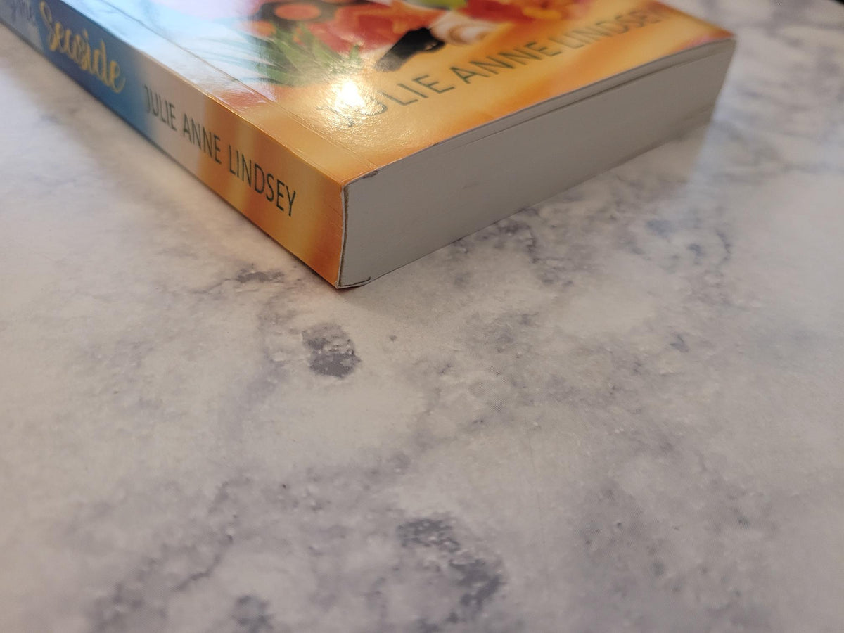 Murder by the Seaside * Julie Anne Lindsey * Patience Price #1