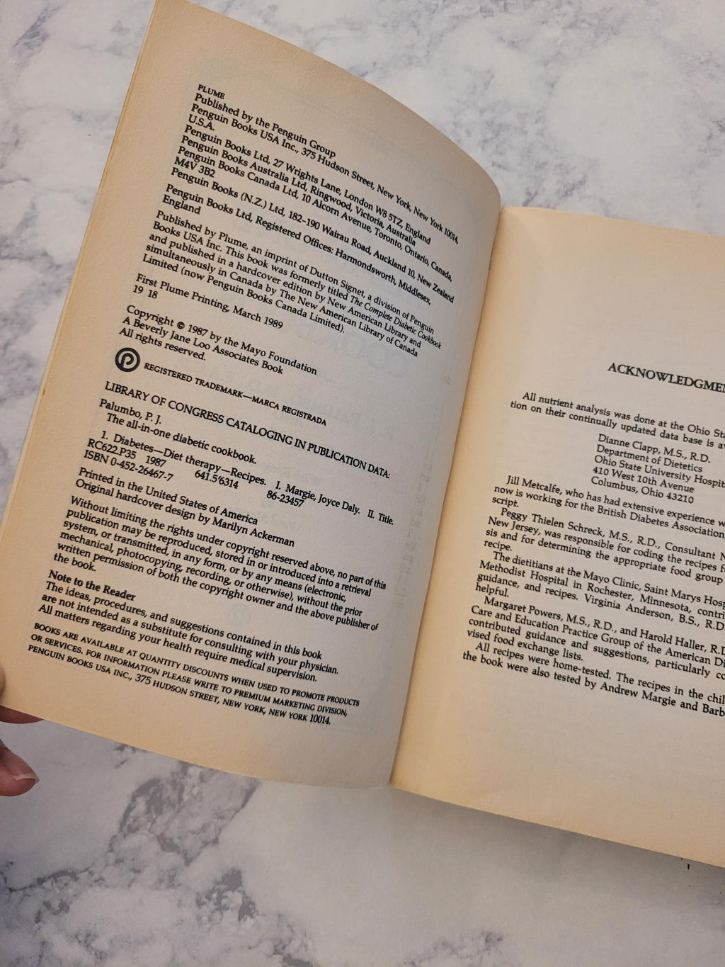 The All-in-One Diabetic Cookbook * P.J. Palumbo, Joyce Daly Margie