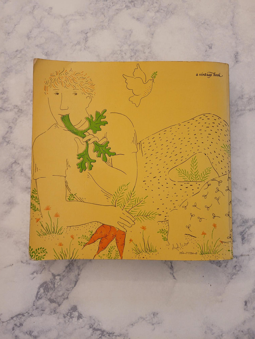 The Vegetarian Epicure * Anna Thomas