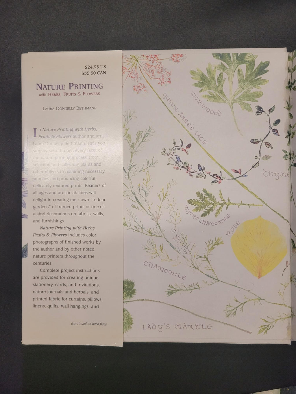 Nature Printing With Herbs, Fruits & Flowers * Laura Donnelly Bethmann