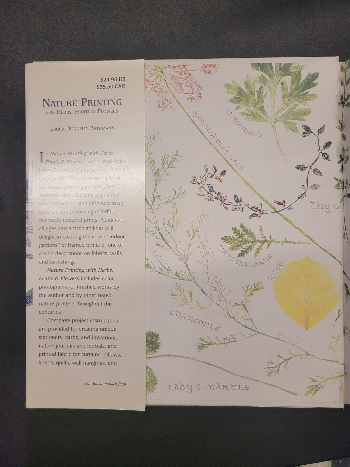 Nature Printing With Herbs, Fruits & Flowers * Laura Donnelly Bethmann