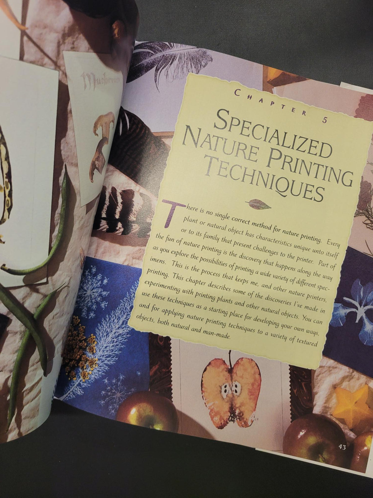 Nature Printing With Herbs, Fruits & Flowers * Laura Donnelly Bethmann