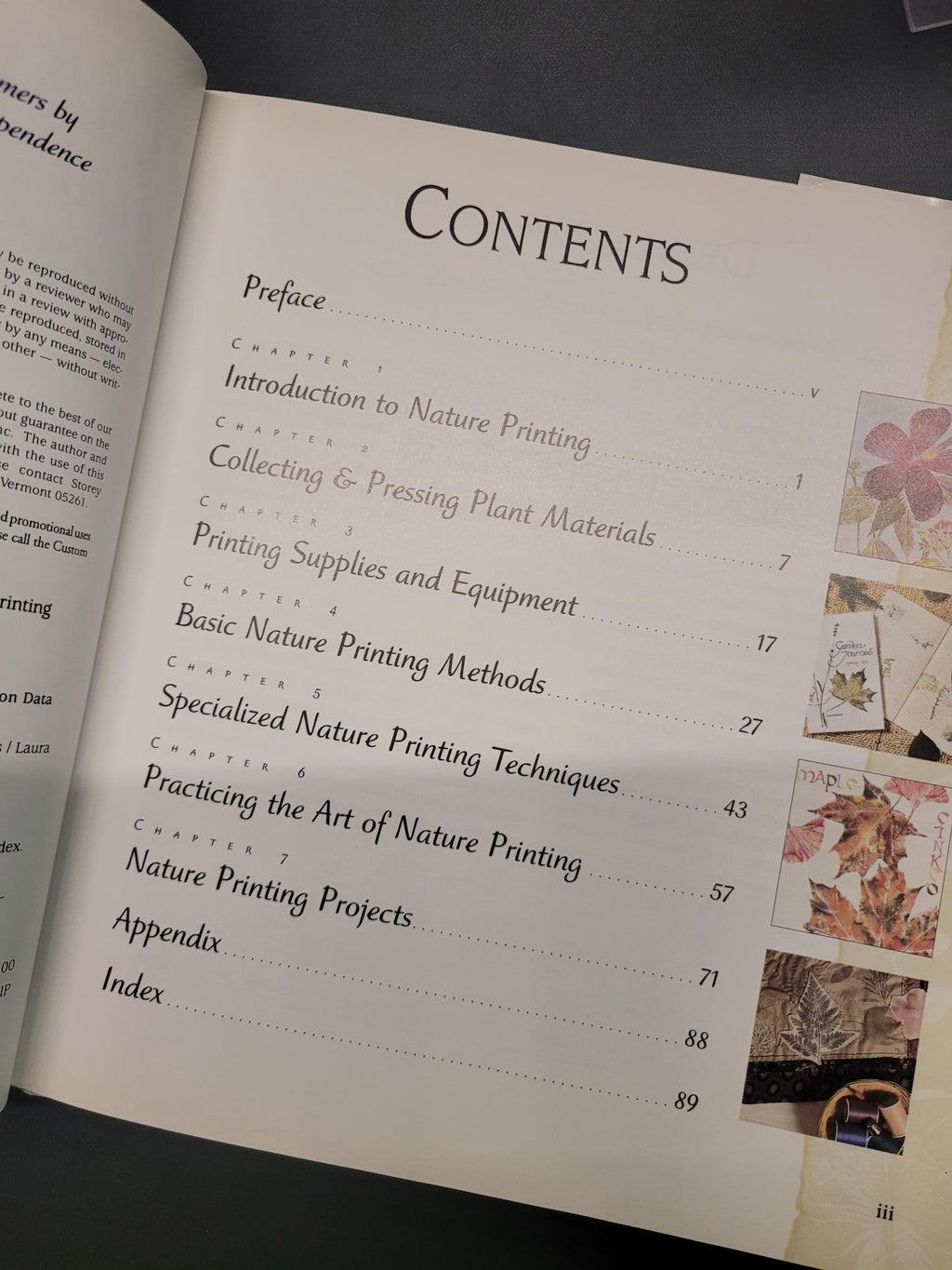 Nature Printing With Herbs, Fruits & Flowers * Laura Donnelly Bethmann