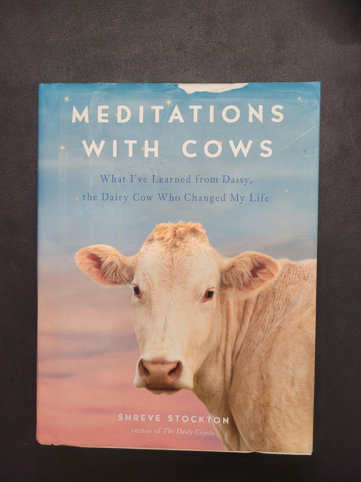 The book 'Meditations with Cows' by Shreve Stockton, featuring a light-colored cow on the cover against a blue and pink gradient background, photographed on a dark textured surface.