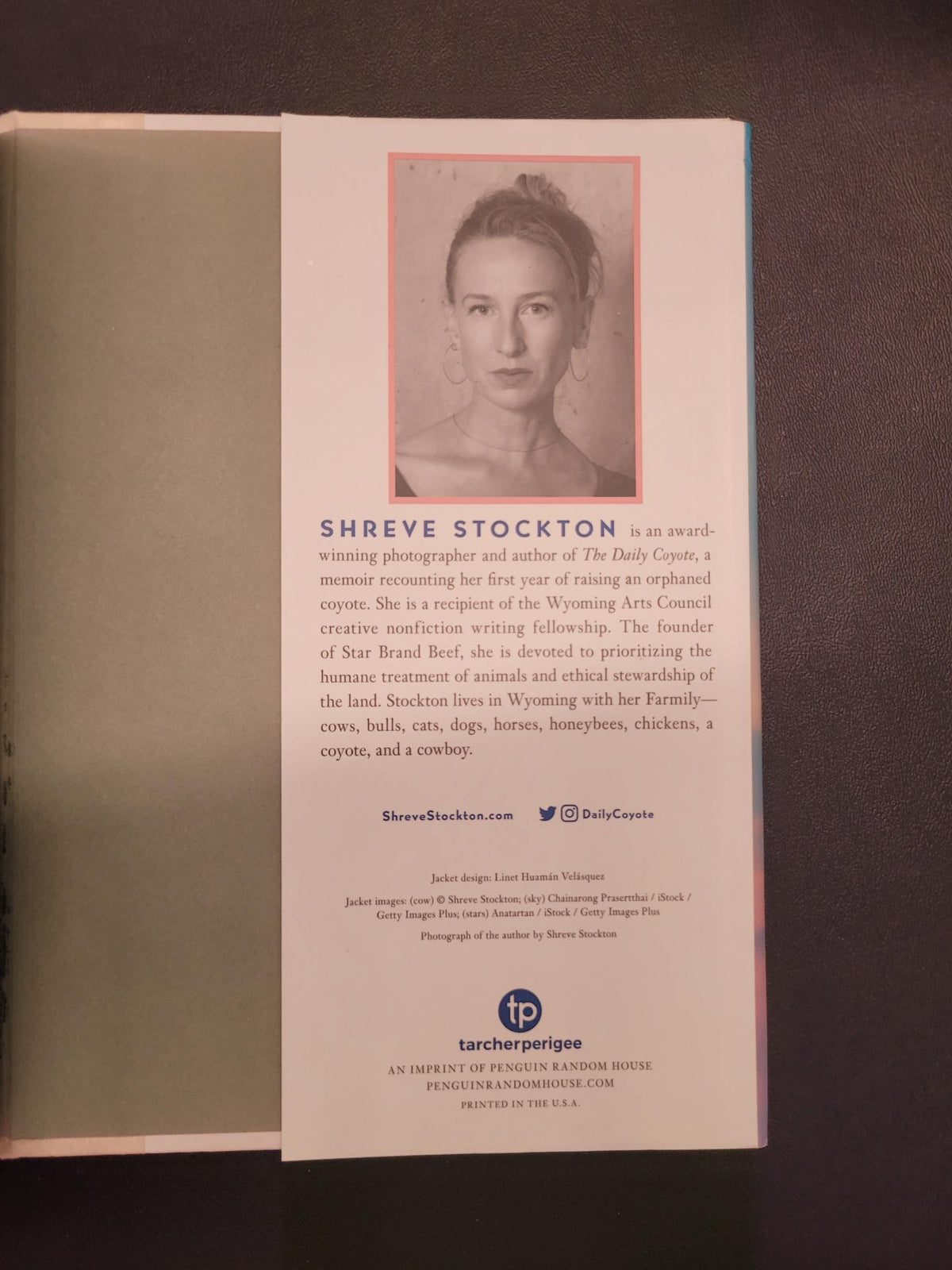 A book or booklet by 'Shreve Stockton' with a portrait photo and descriptive text, placed on top of a matching light gray sleeve or cover on a dark surface.