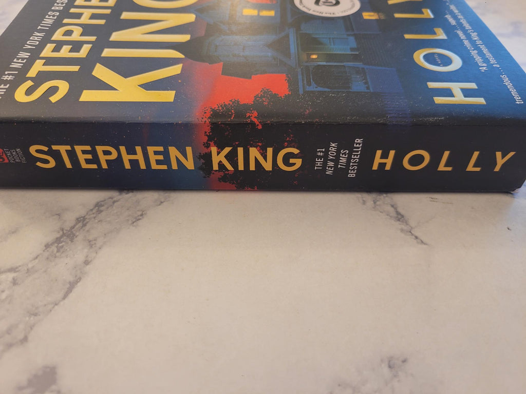 Holly * Stephen King