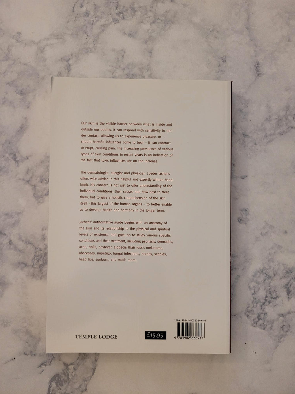 Healing the Skin * Lueder Jachens, Anna R. Meuss (Translator)