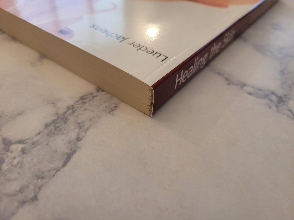 Healing the Skin * Lueder Jachens, Anna R. Meuss (Translator)