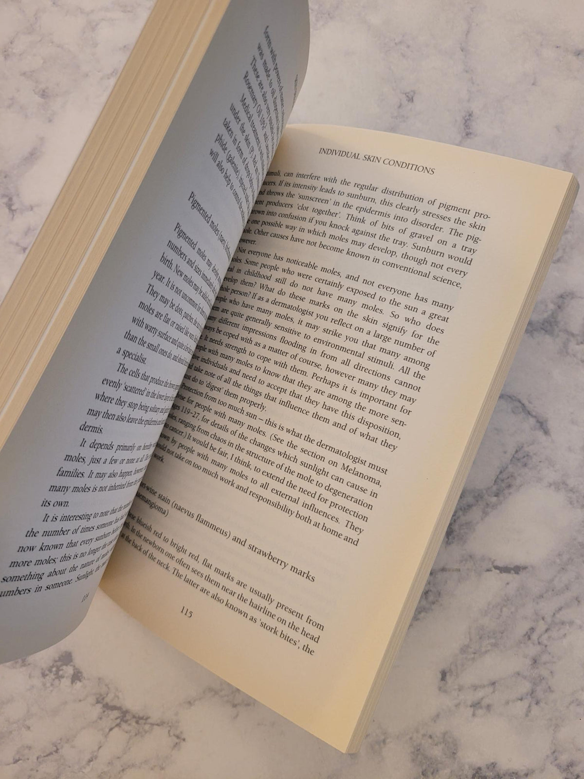 Healing the Skin * Lueder Jachens, Anna R. Meuss (Translator)
