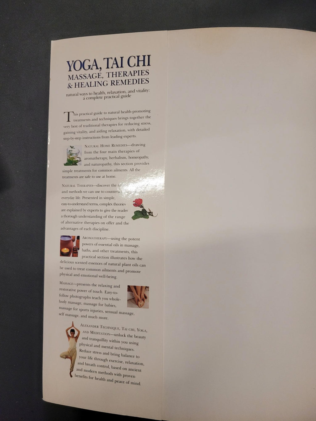 Yoga, Tai Chi Massage, Therapies & Healing Remedies * Mark Evans