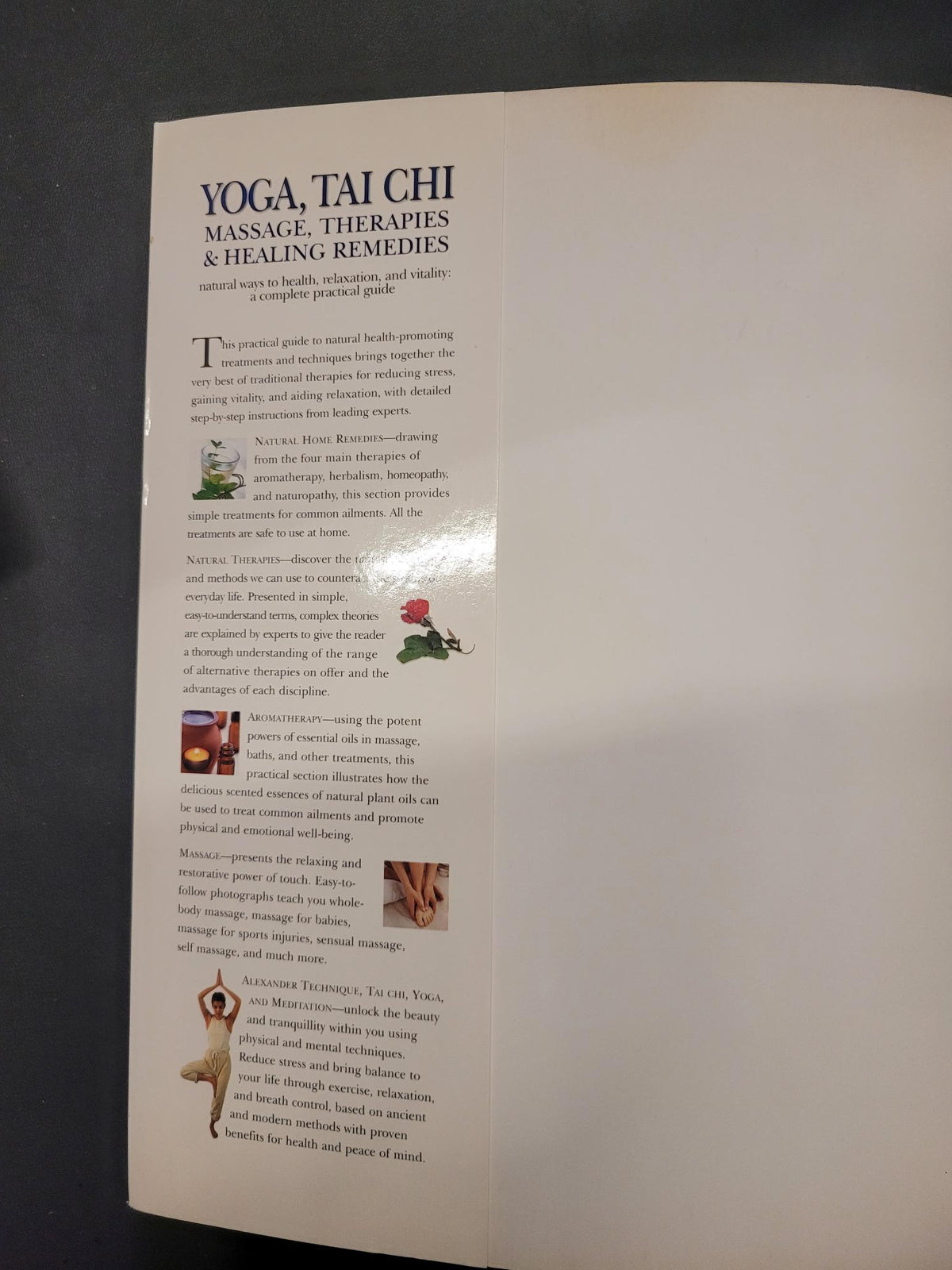 Yoga, Tai Chi Massage, Therapies & Healing Remedies * Mark Evans