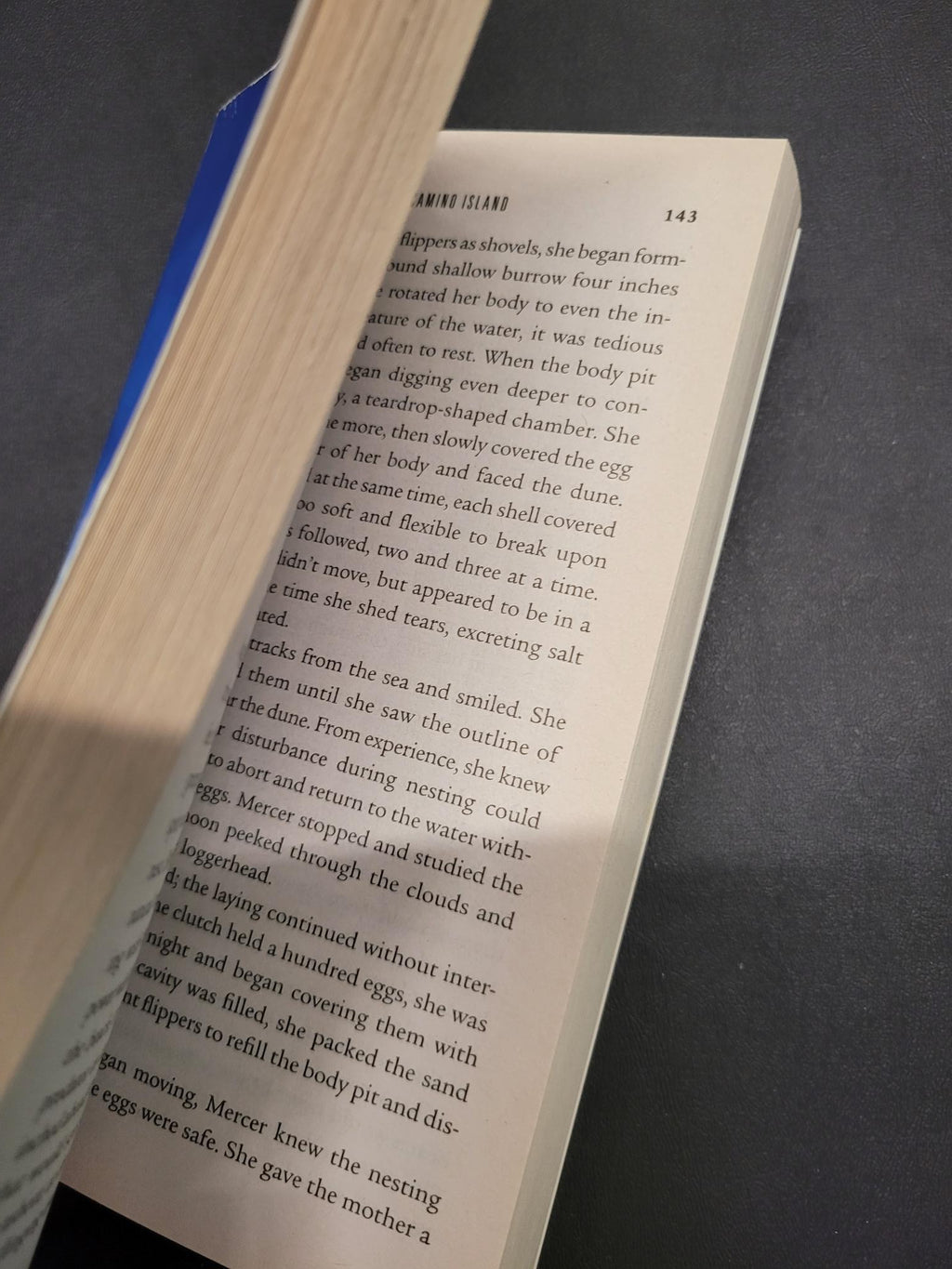 Camino Island * John Grisham * Camino Island #1