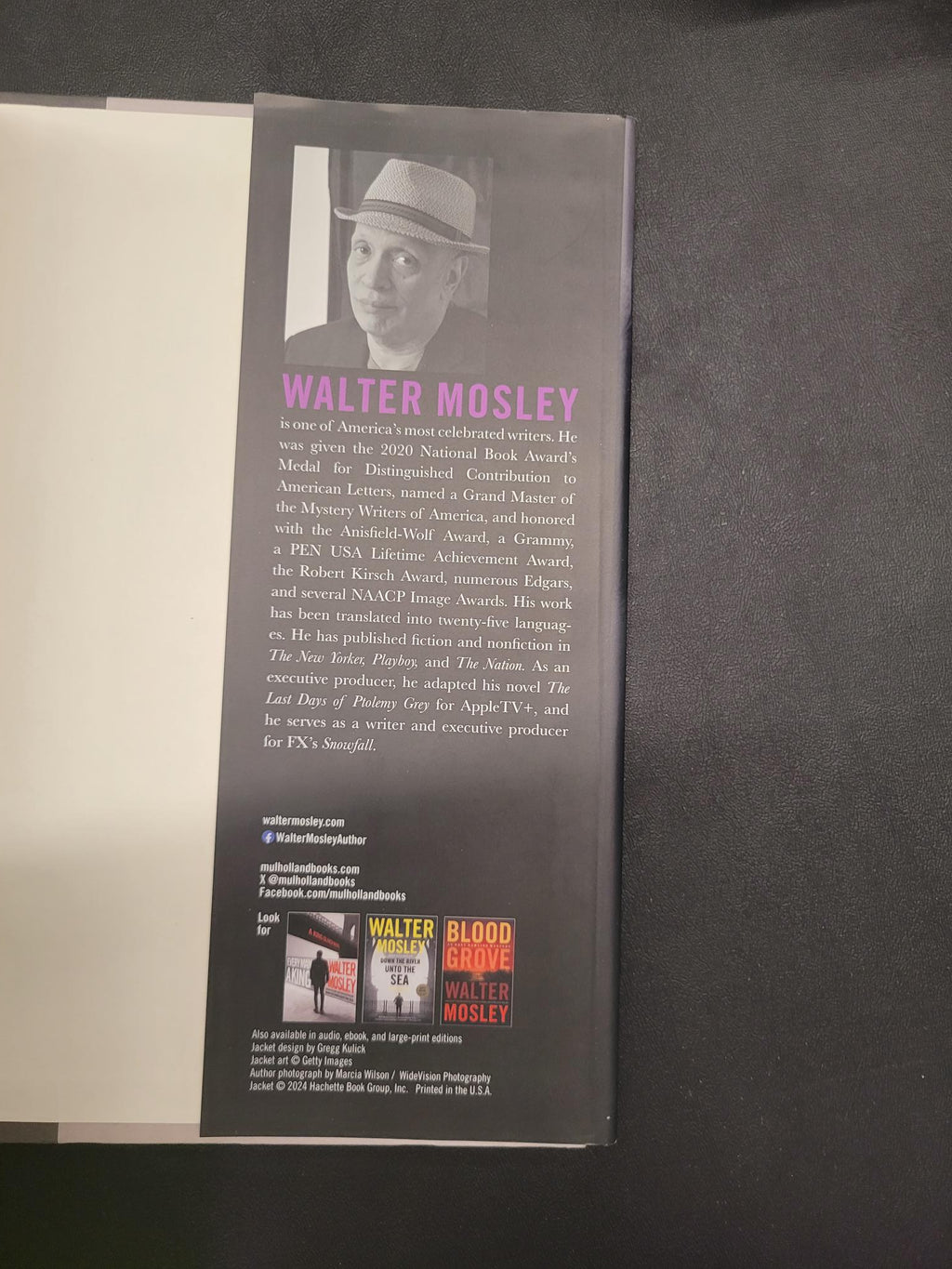 Farewell, Amethystine * Walter Mosley * Easy Rawlins #16