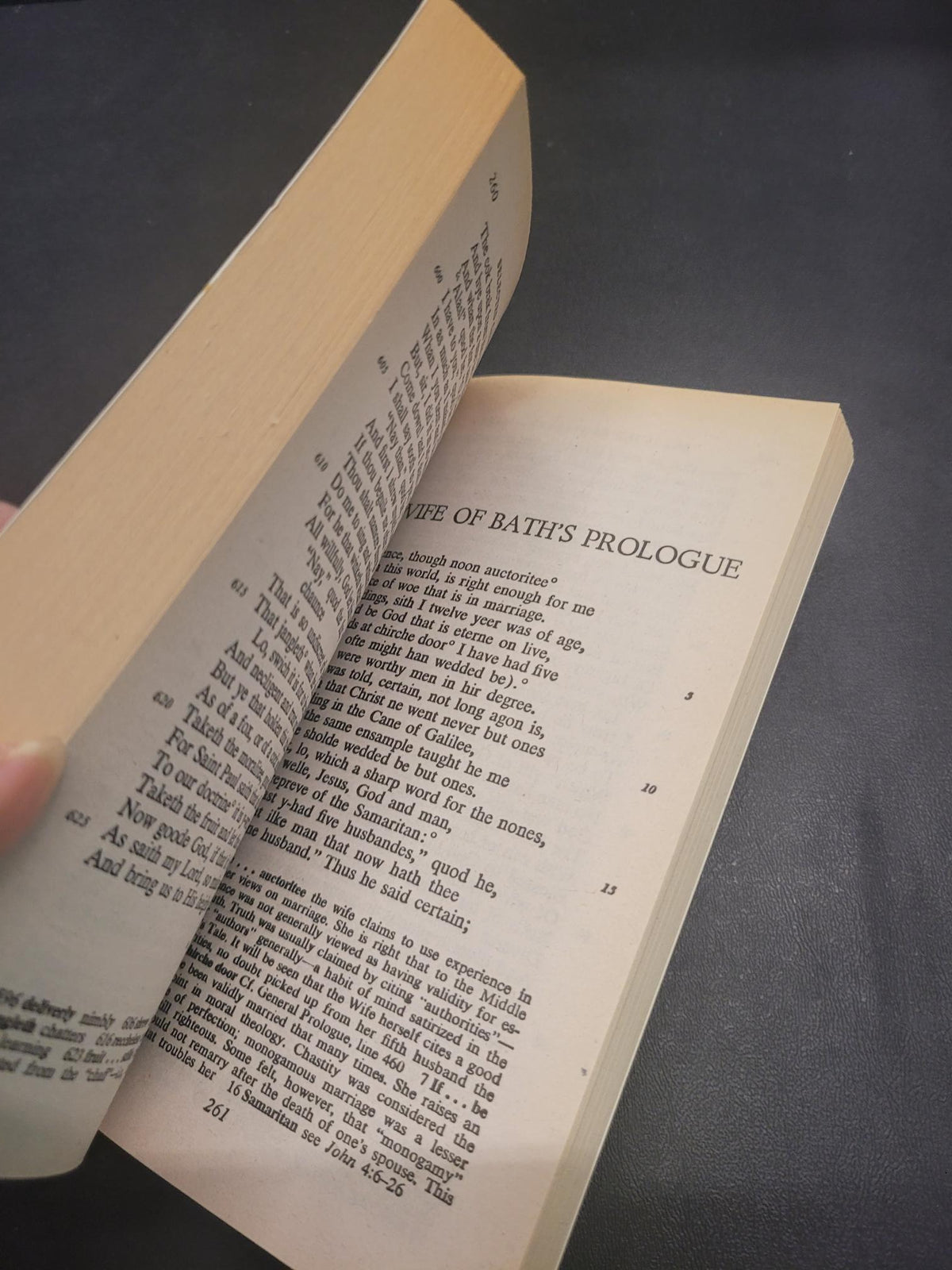 The Canterbury Tales: A Selection * Geoffrey Chaucer, Donald R. Howard (Introduction, Editor)