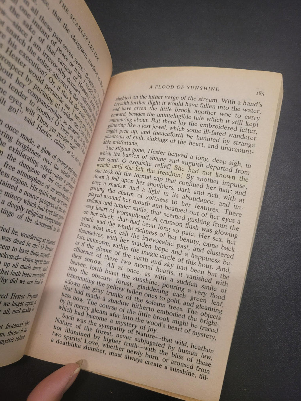 The Scarlet Letter * Nathaniel Hawthorne, Brenda Wineapple (Introduction)