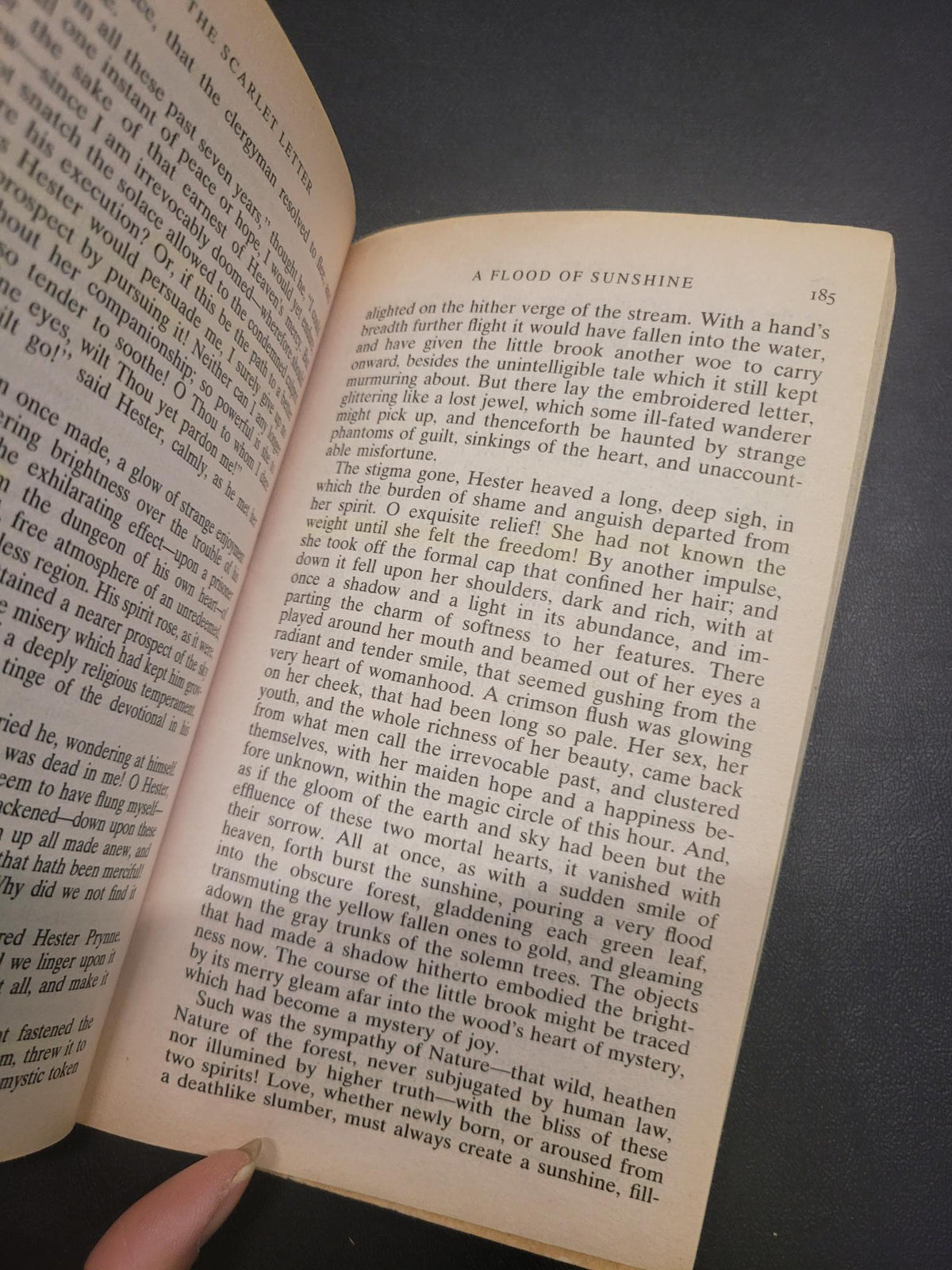 The Scarlet Letter * Nathaniel Hawthorne, Brenda Wineapple (Introduction)