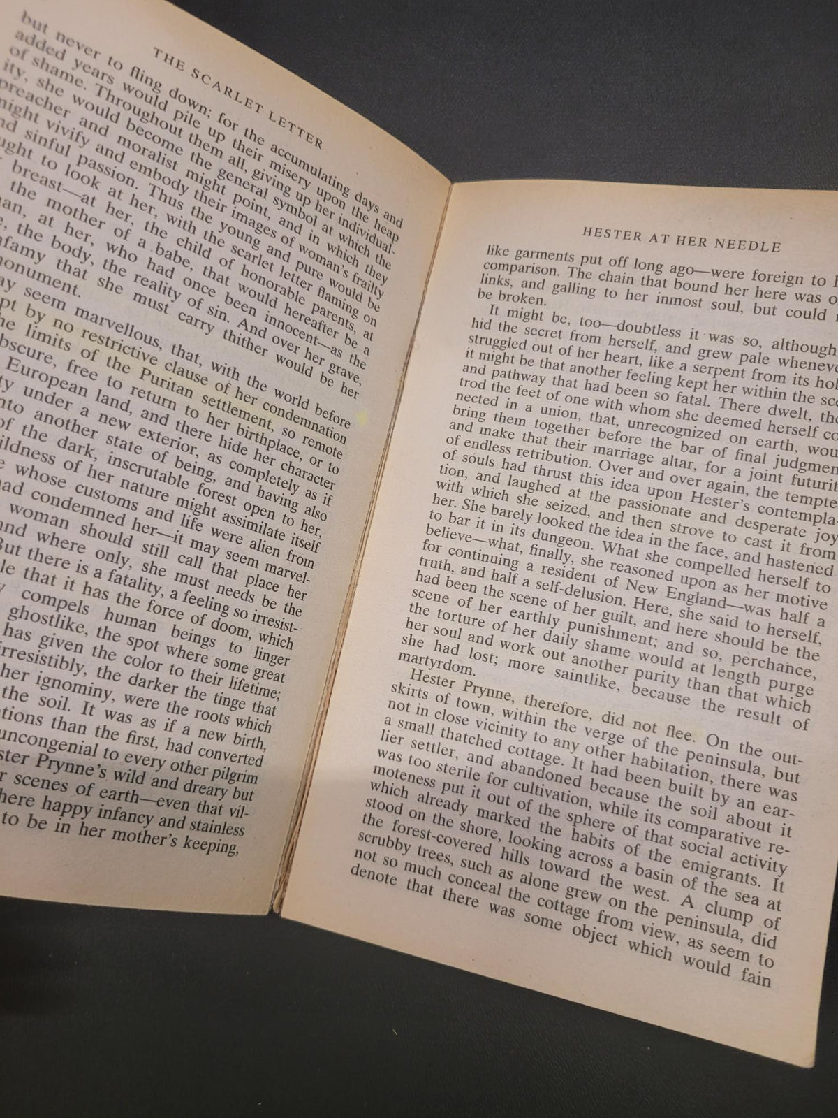 The Scarlet Letter * Nathaniel Hawthorne, Brenda Wineapple (Introduction)