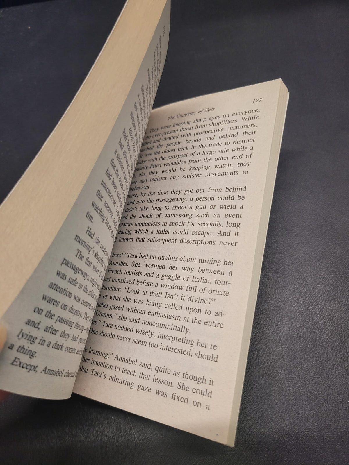The Company of Cats * Marian Babson