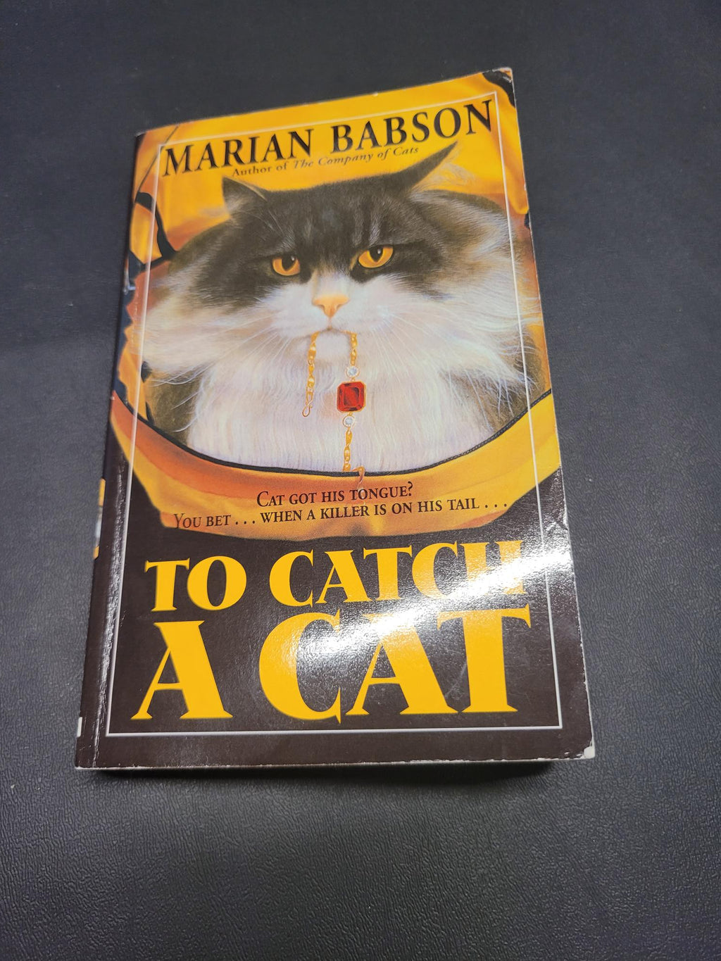 To Catch a Cat * Marian Babson
