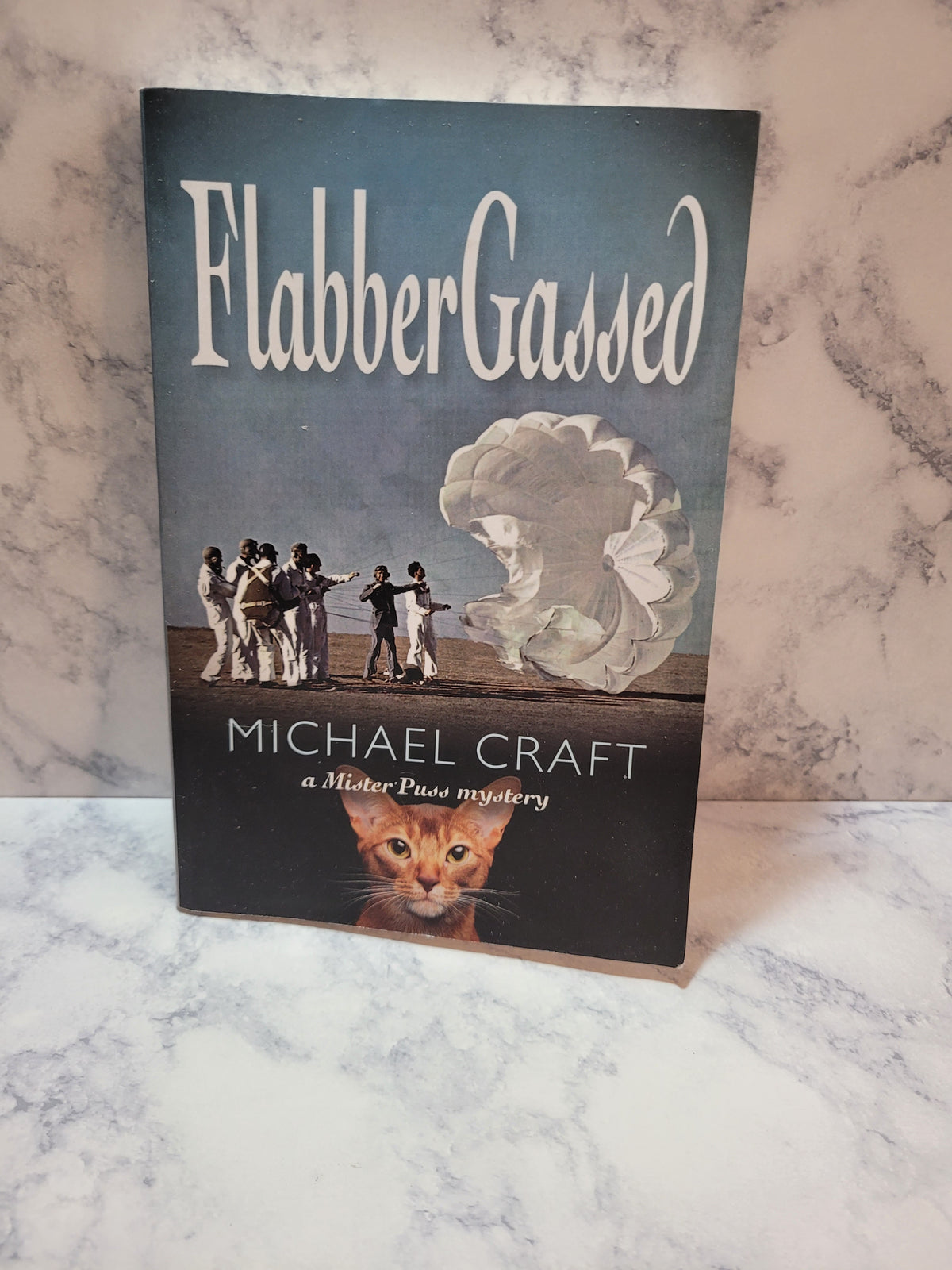 FlabberGassed * Michael Craft * Mister Puss #1