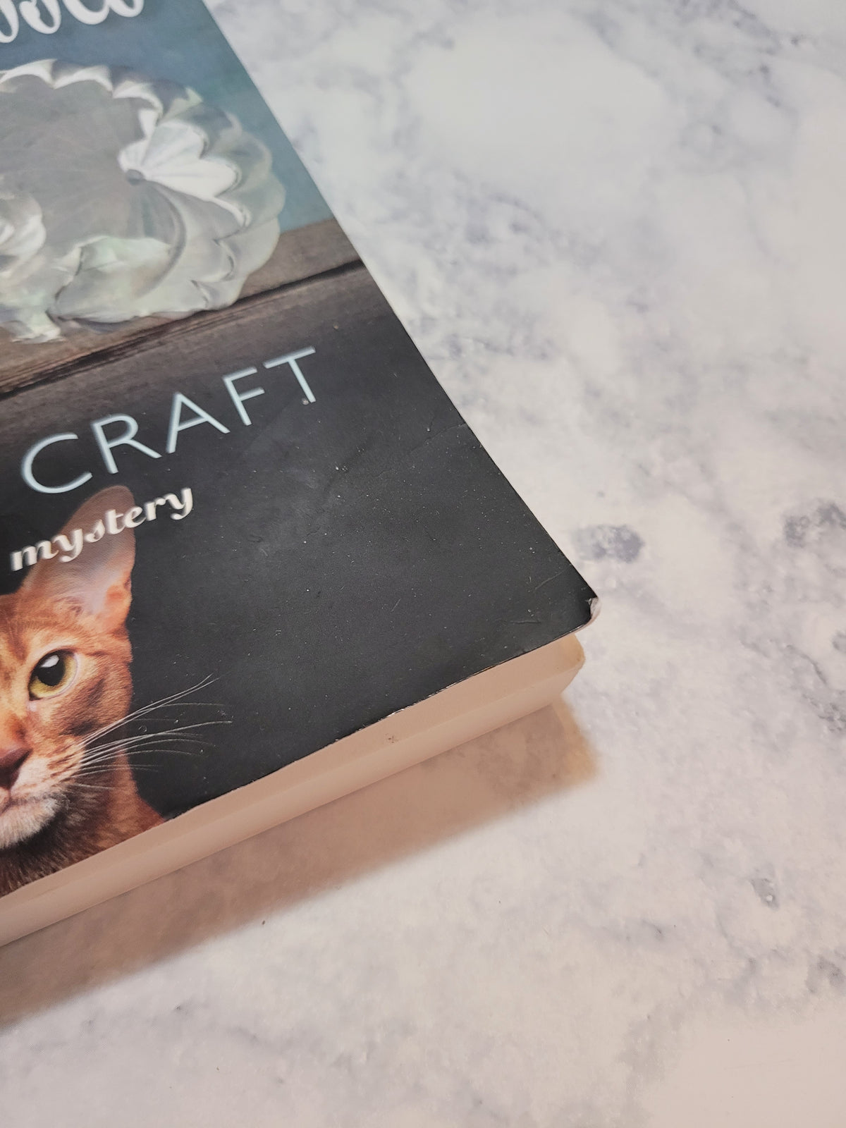 FlabberGassed * Michael Craft * Mister Puss #1