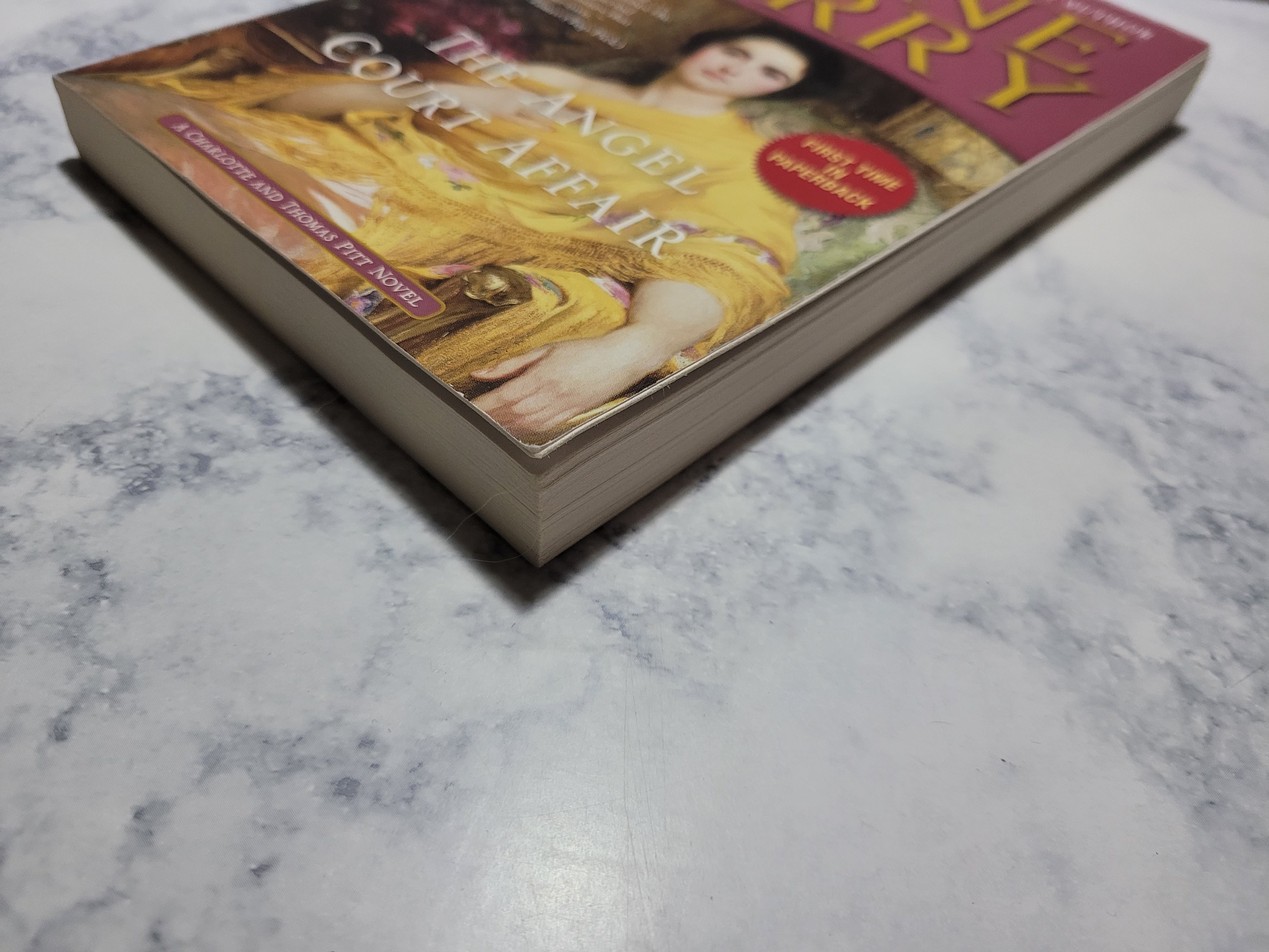 The Angel Court Affair * Anne Perry * Charlotte & Thomas Pitt #30
