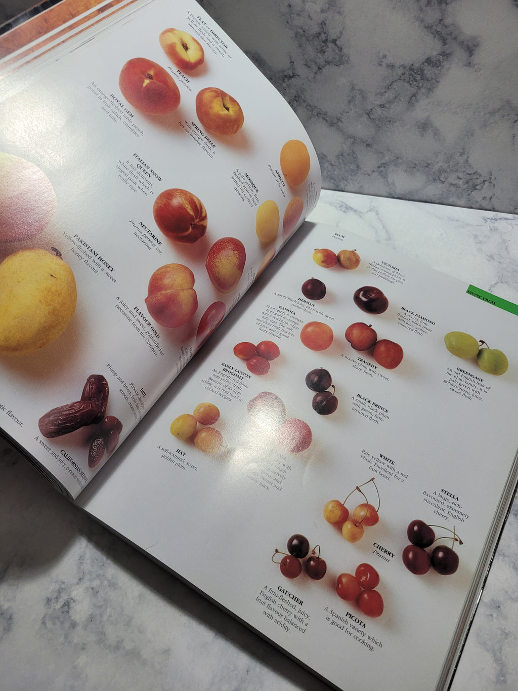 Ingredients * Loukie Werle, Jill Cox
