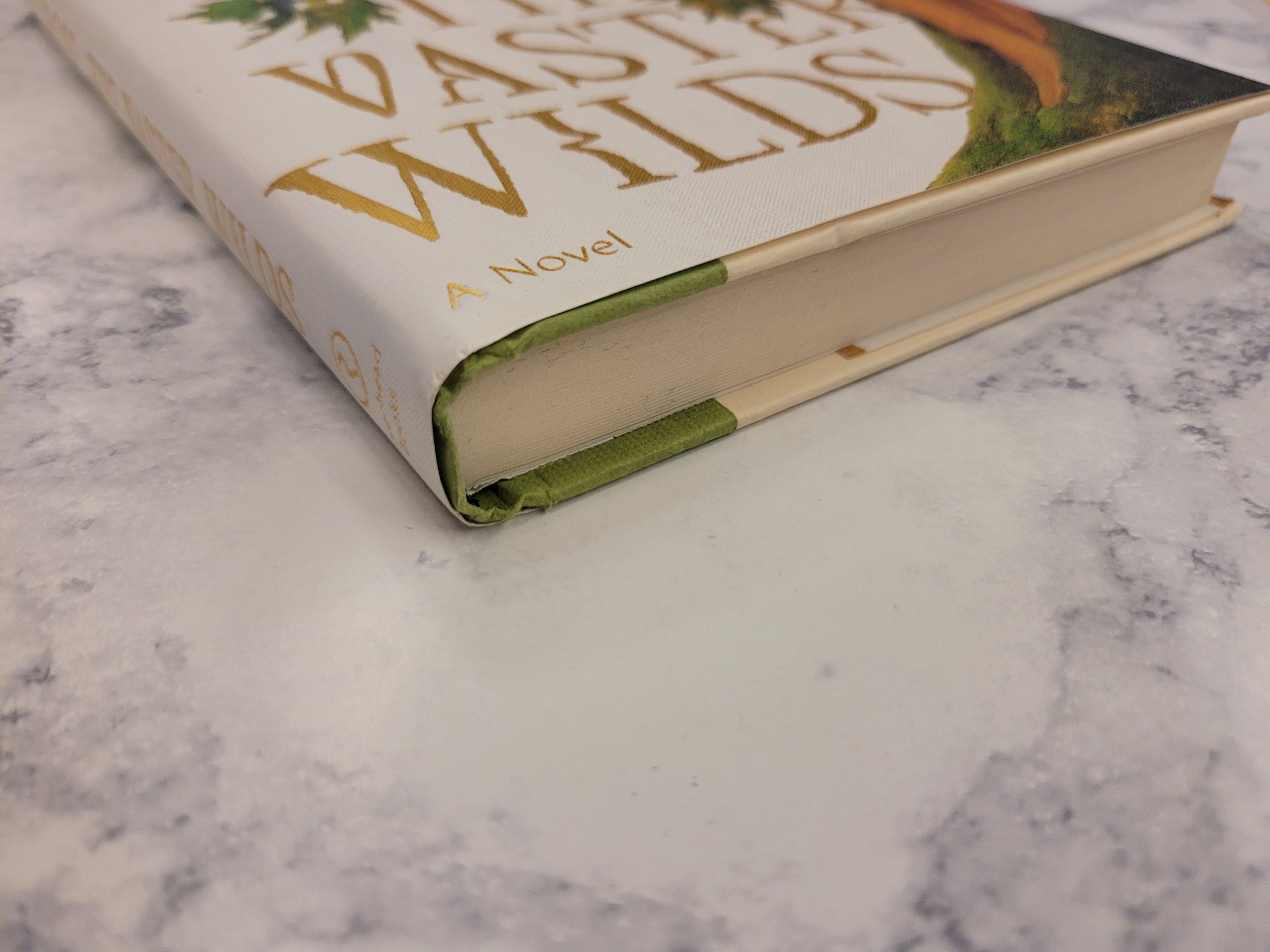 The Vaster Wilds * Lauren Groff