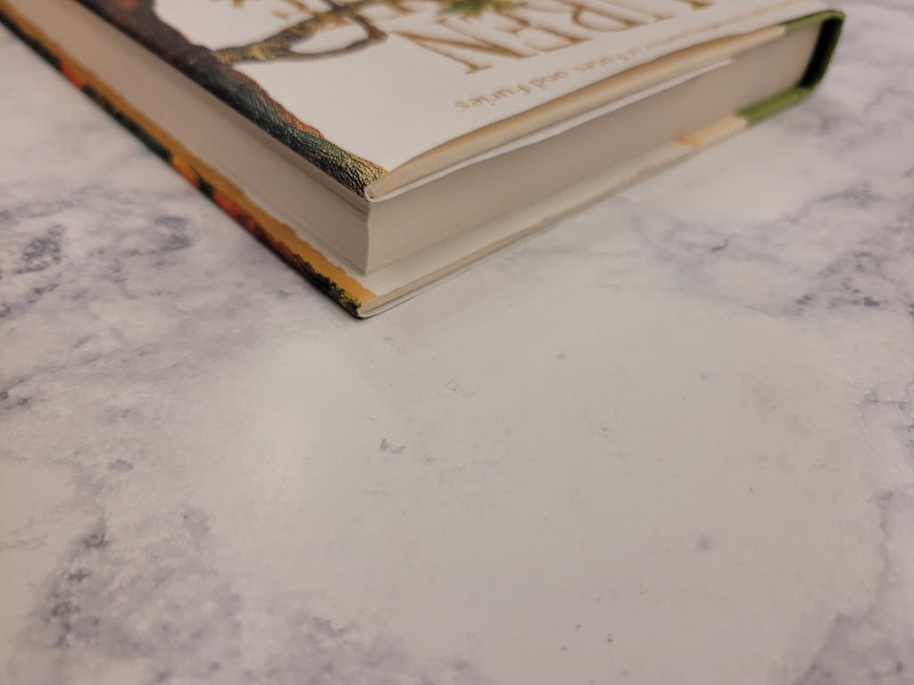 The Vaster Wilds * Lauren Groff