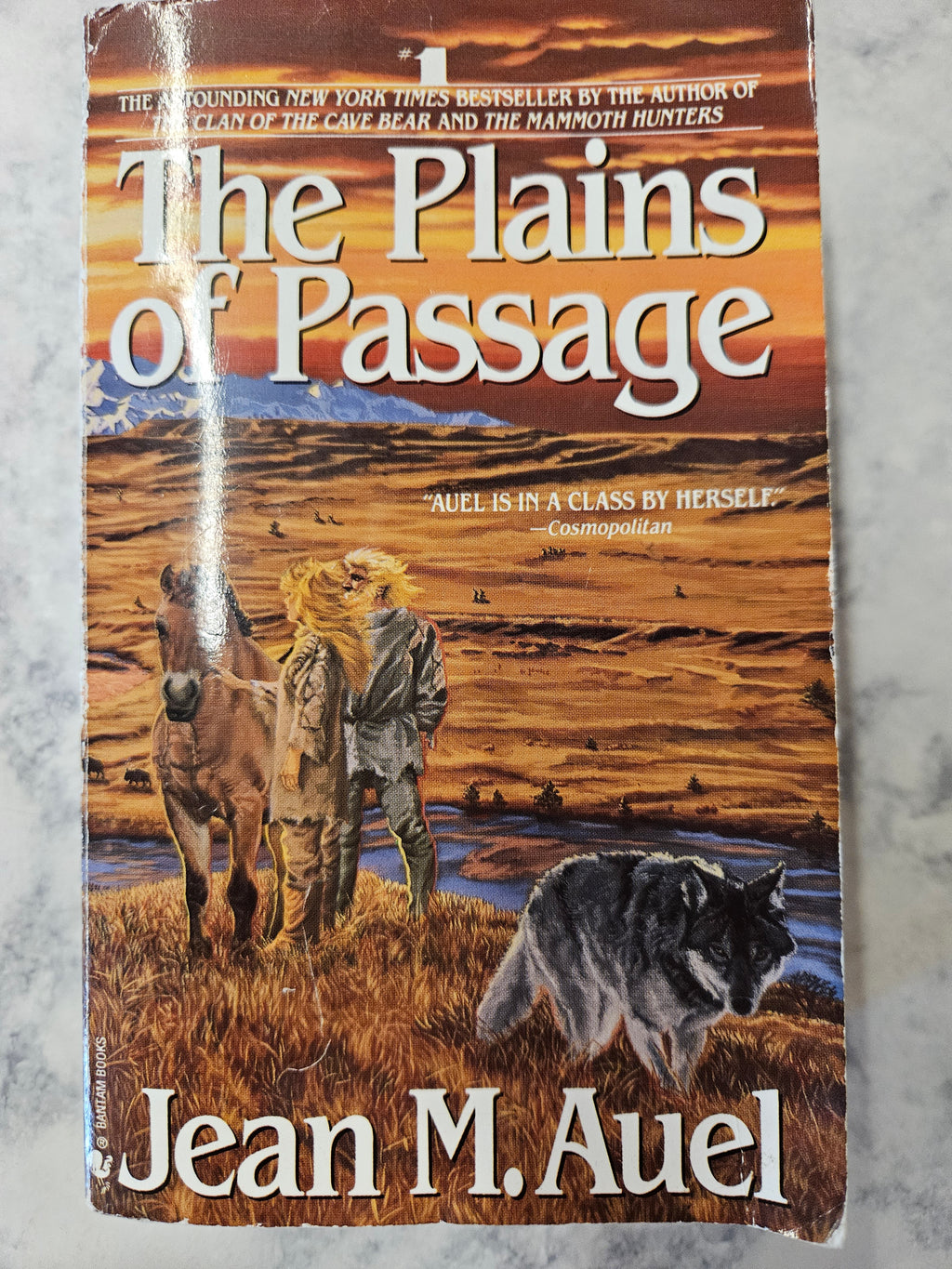 The Plains of Passage * Jean M. Auel * Earth's Children #4