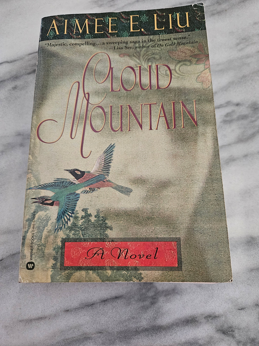 Cloud Mountain * Aimee Liu