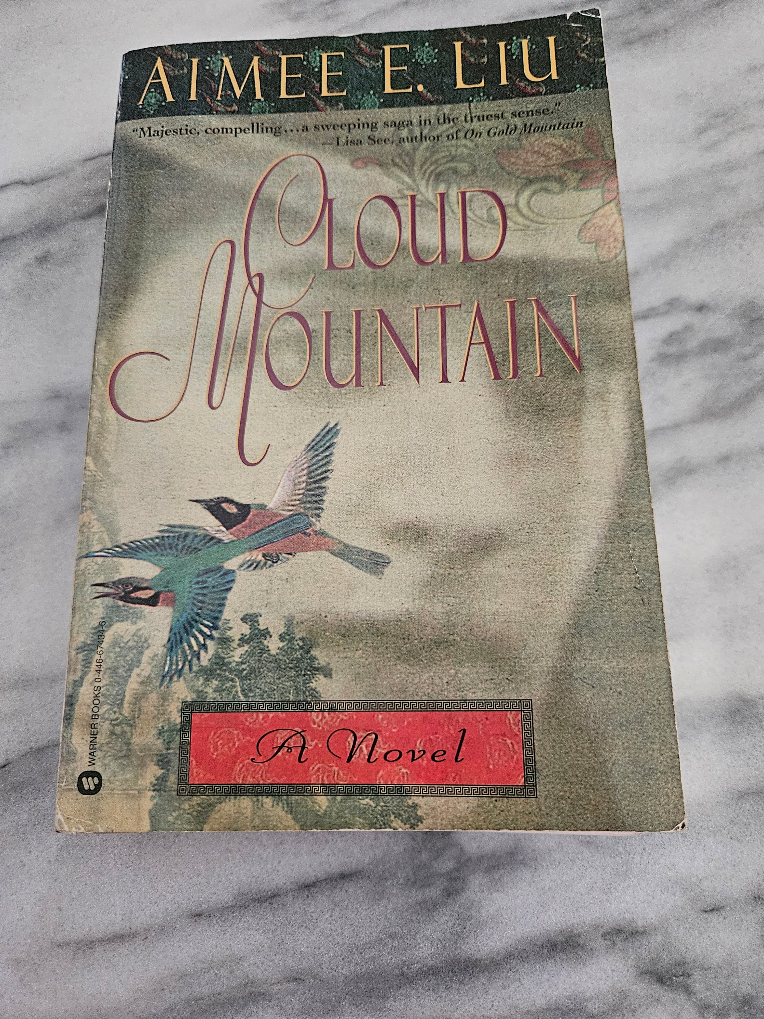 Cloud Mountain * Aimee Liu