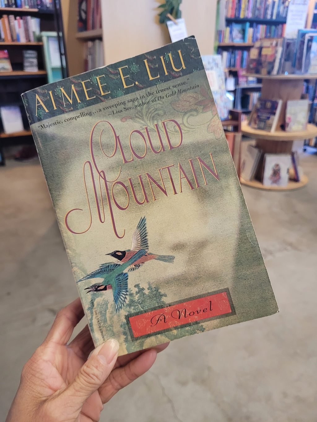 Cloud Mountain * Aimee Liu