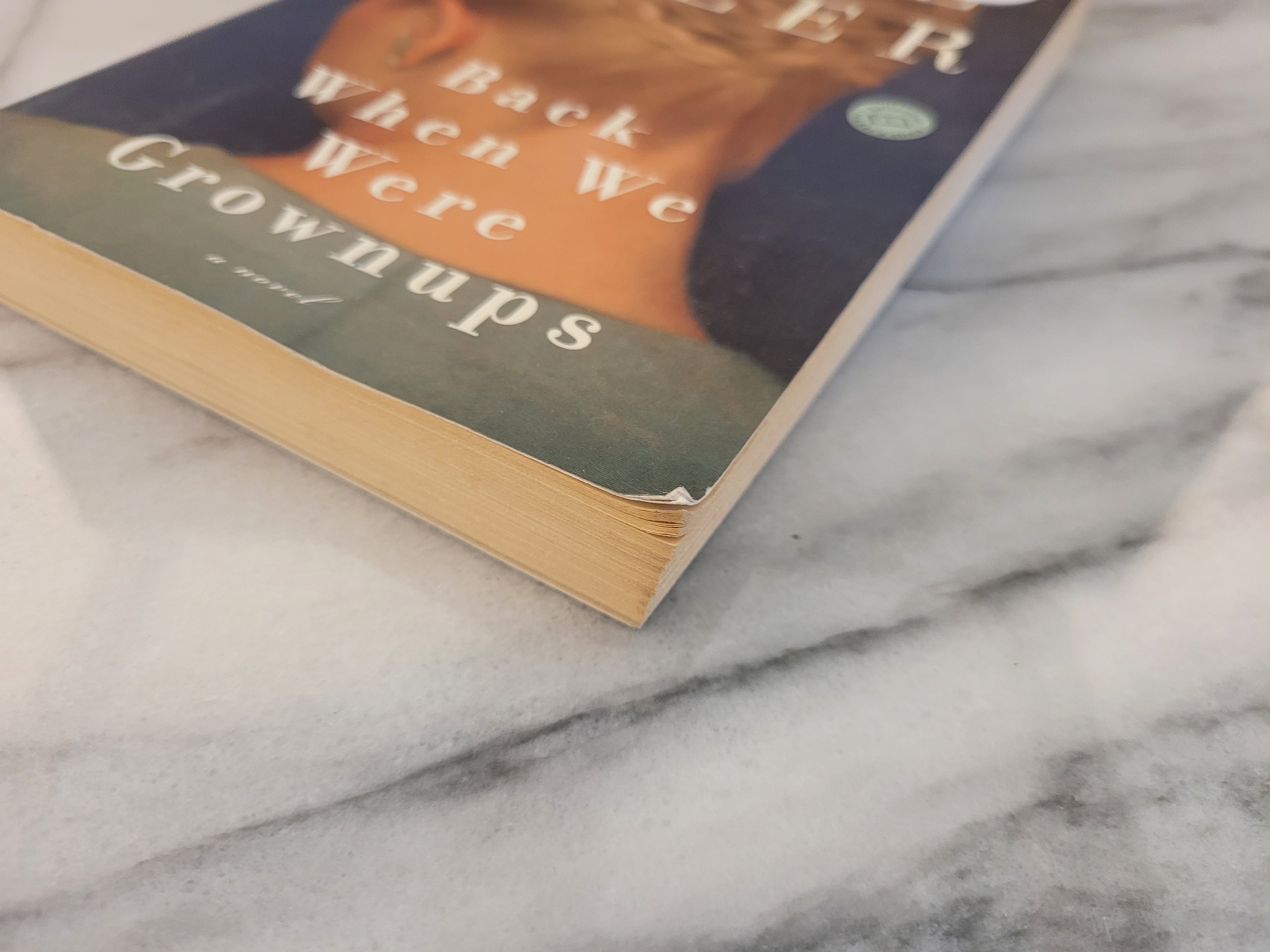 Back When We Were Grownups * Anne Tyler