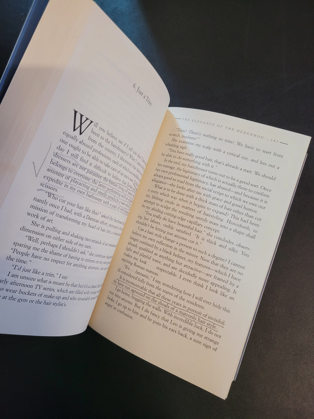 An open book with cream-colored pages filled with printed text, photographed from above on a dark surface.